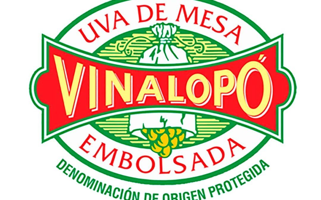 Bases I Concurso de Recetas Uva Embolsada del Vinalopó