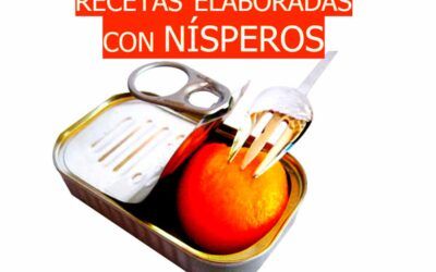 Recetas elaboradas con nísperos