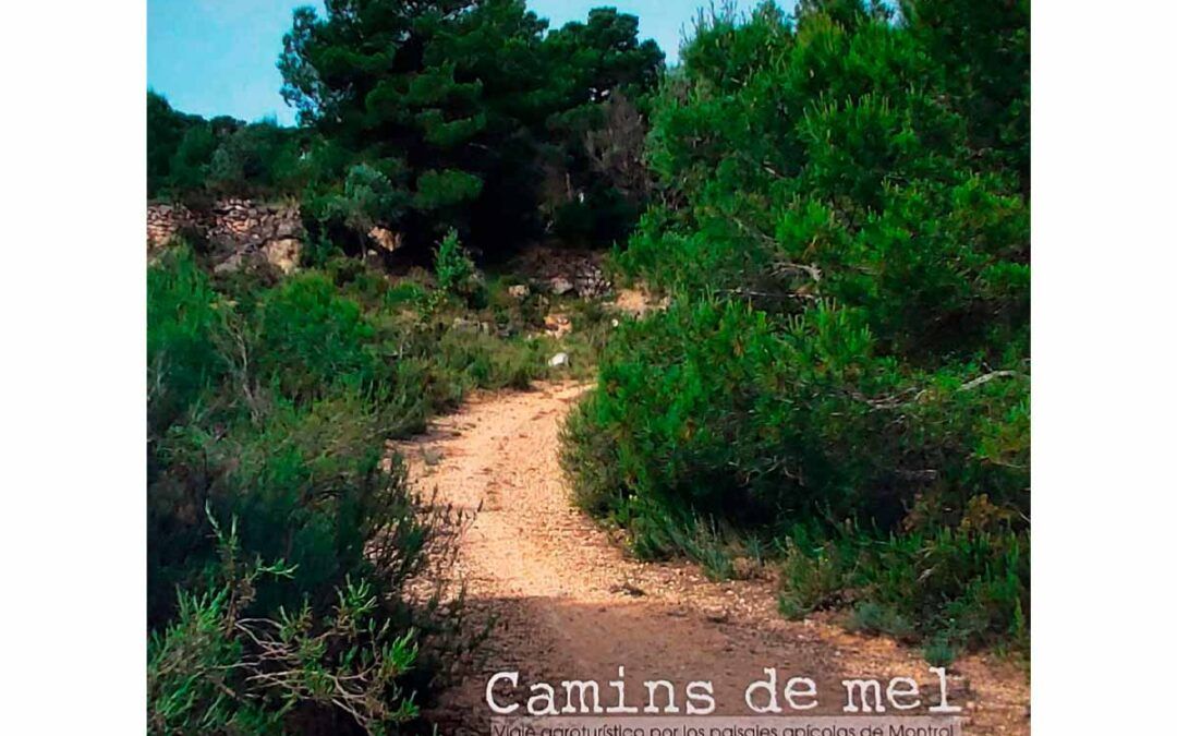 Camins de mel: Viaje agroturístico por los paisajes apícolas de Montroi