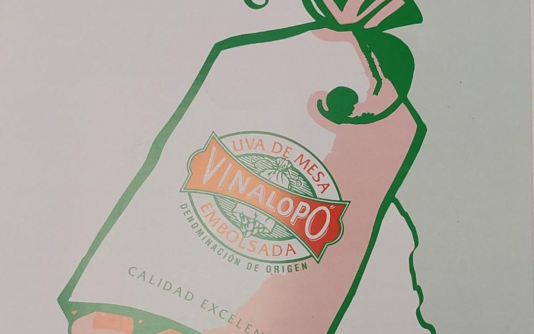 I Concurso de Recetas Uva Embolsada del Vinalopó