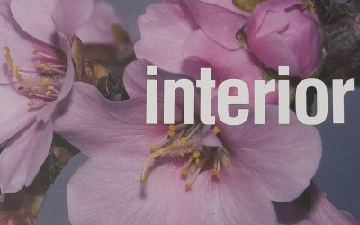 Interior: todos los colores del mediterraneo