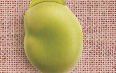 Receptari de la fava Ed.1