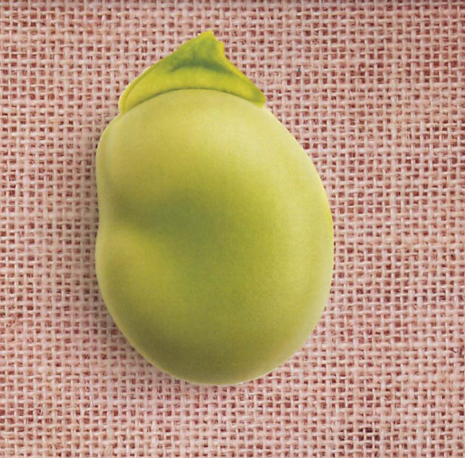 Receptari de la fava Ed.1
