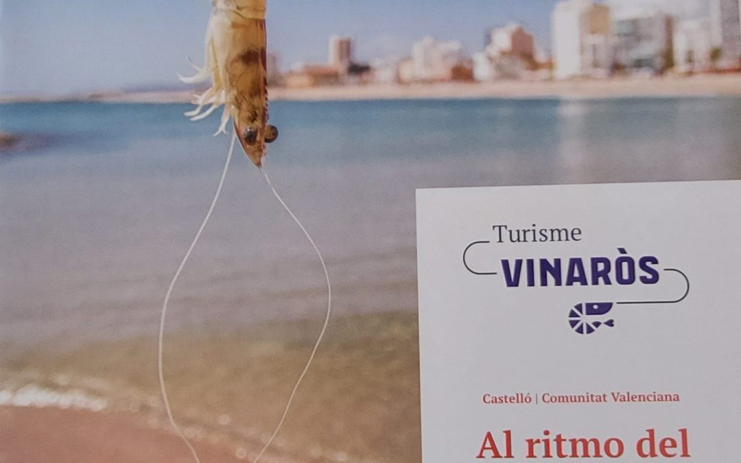Tirusme Vinaròs: Al ritmo del mediterráneo